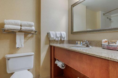 Comfort Inn Arlington Heights-OHare Airport - image 12