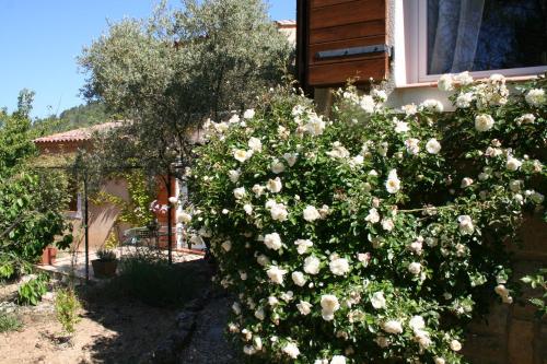 Gîte de Charme Manon des Trêmes (Gite de Charme Manon des Tremes) in Varages