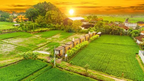 Wander Havens, Canggu