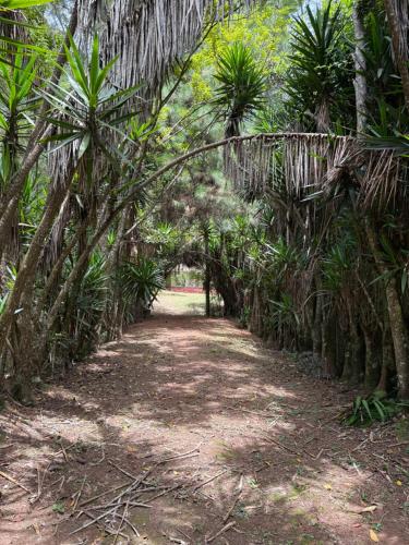 Casarão verde (Casarao verde) in Sao Luiz do Paraitinga (Sao Paulo)