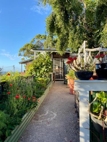 Bilbos Cottage at Little Bird