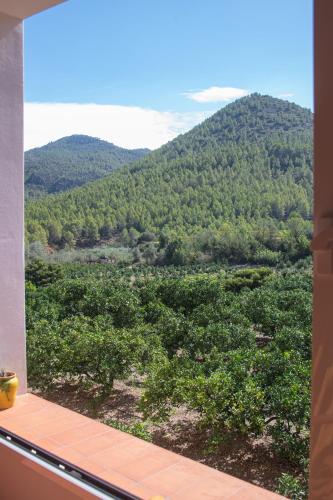 周邊環境, L'Almàssera - Chimenea y montaña para grupos en Aielo de Rugat (L'Almassera - Chimenea y montana para grupos en Aielo de Rugat) in 魯加特