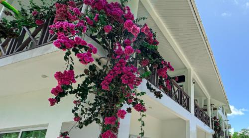 MAZU apartments garden view & pool MAZU apartments garden view & pool