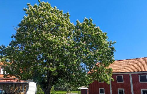 Viesnīcas āriene, Amazing Home In Ringarum With Ethernet Internet in Gusum
