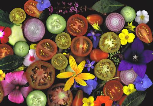 Auberge L'Art Auberge L'Art