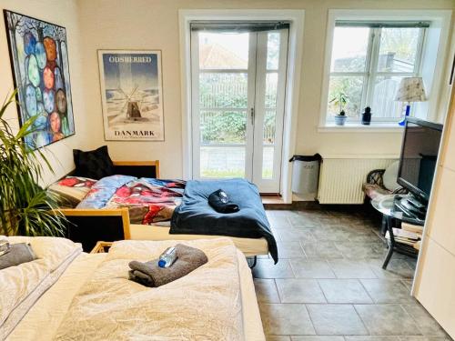 Rørvig Bed & Kitchen, Rørvig (foto 3)
