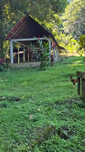 Зовнішній вигляд готелю, Eco Farmstay Finca Las Aguas in Guachaca
