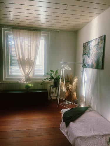 Zentrale gemütliche Wohnung Nähe Bahnhof Zentrale gemütliche Wohnung Nähe Bahnhof