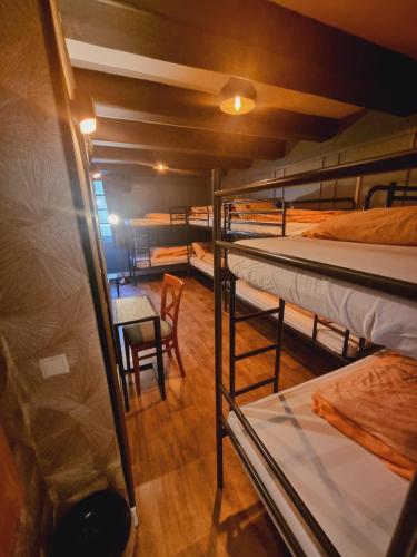 International Budget Hostel City Center - image 2