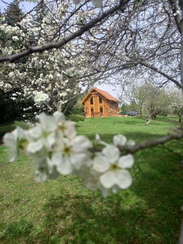 Dārzs, Alpokalja Rönkház (Alpokalja Ronkhaz) in Bozsok
