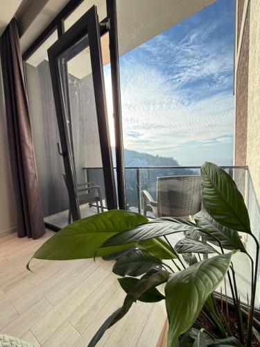 Erkély/terasz, Villa Deluxe Kvariati in Kvariati