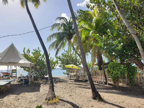 Vistas, Appartement cosy au Carbet avec balcon et vue sur mer - 70 m² in Le Carbet