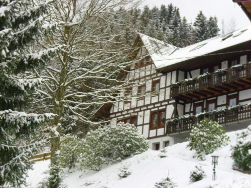 Wohnung in Schmallenberg mit Gemeinschaftsgarten, Schmallenberg