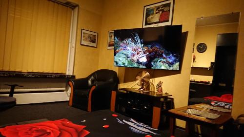RomPromo Plus Accommodation - image 14