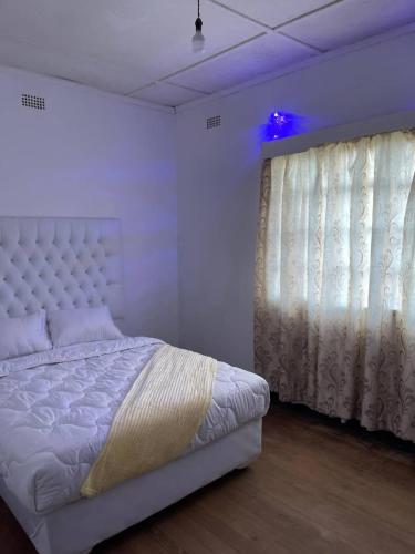 Elgin Guest in Harare
