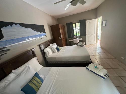 Beach On The Rocks in El Zonte