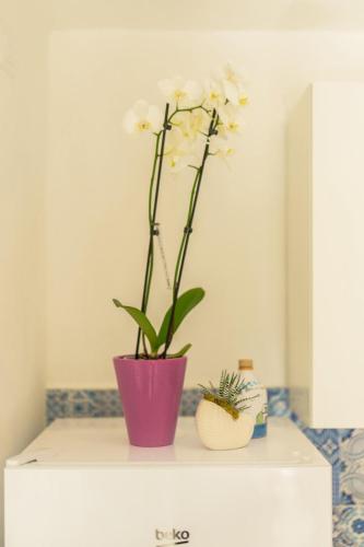 Lemon Tree House, Procida (fotografie 10)