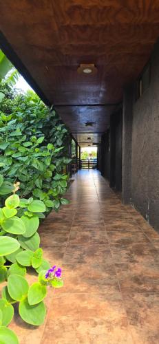Apartment with Garden View