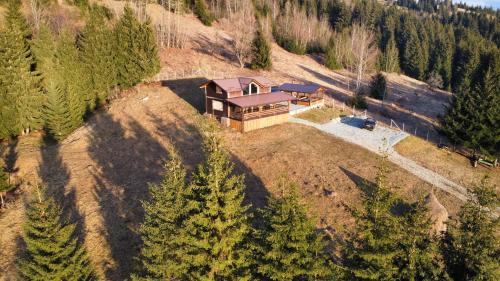 Cabana din Munți (Cabana din Munti) in Borsa