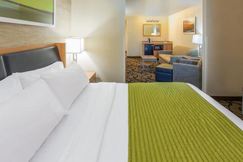 Holiday Inn Express Hotel and Suites - Henderson by IHG, Las Vegas (foto 8)