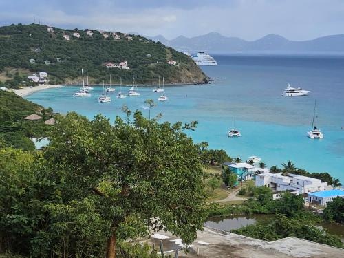 Beach, The View in Jost Van Dyke