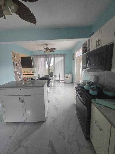 Kitchen, The View in Jost Van Dyke