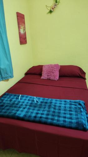 Dominica Back 2 Eden Dominica Back 2 Eden