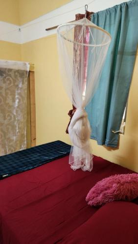 Dominica Back 2 Eden Dominica Back 2 Eden