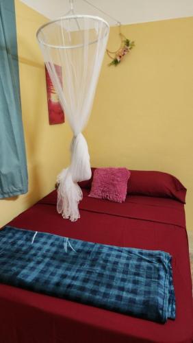 Dominica Back 2 Eden Dominica Back 2 Eden