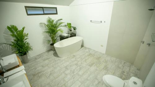 Anthurium house, Фортуна (фото 7)