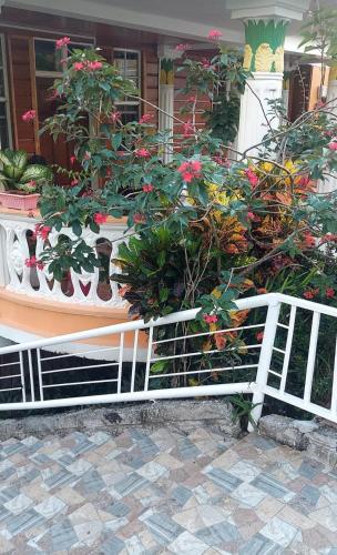 Peaceful Nest Apt 3 in Canefield