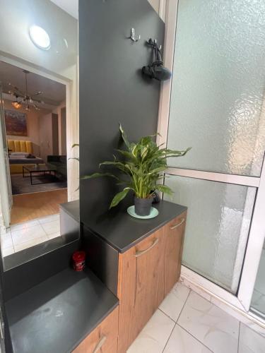 Modern Studio, Tirana (fotografie 3)