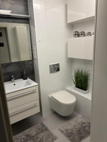 Apartament Słowackiego Park (Apartament Slowackiego Park) in Zabrze