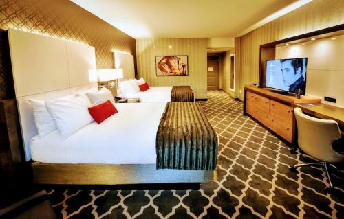 Dream Lodge Executive - image 3