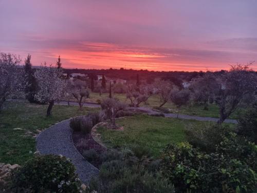 Cosy Guest House - Villa das Alfarrobas in Tunes