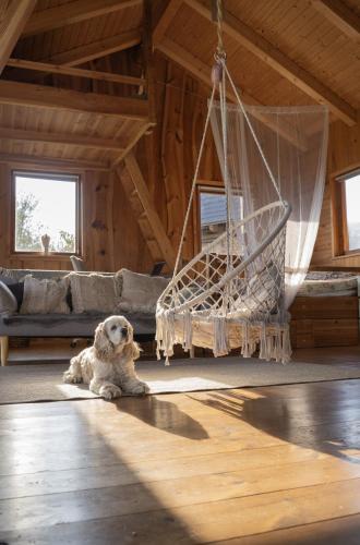 Druhanov Cottage in Svetla Nad Sazavou