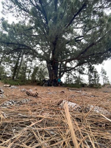 A környék, Ferienwohnung Teutoblick in Tecklenburg