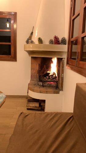 Full House Casa Cogumelo Pico da Cruz in จาเนลา