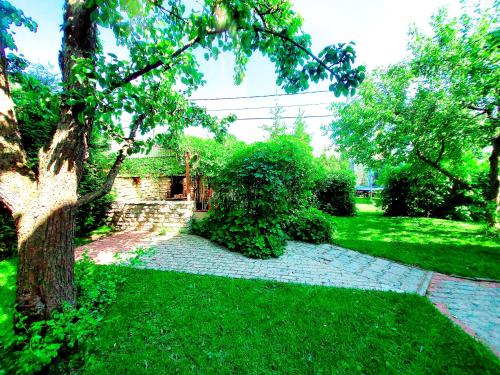 Cofy Rentals - quiet location, air-conditioning, free parking, 24-7 check-in-out with prepaid nighttime check-in, early check-in, late check-out!, Tallinn (photo 7)