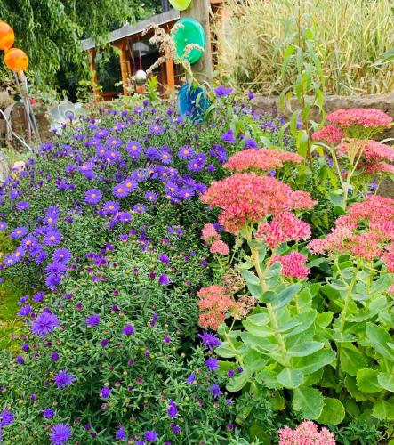 Kleines Glück Kleines Glück