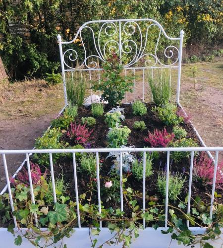 Kleines Glück Kleines Glück