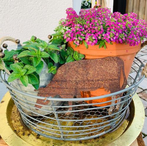 Kleines Glück Kleines Glück