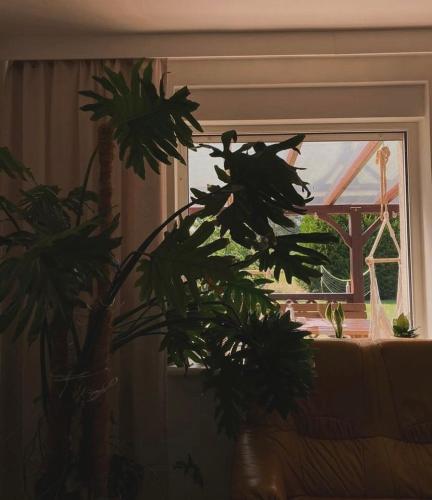 Kwintesencja Natury in Obrzycko