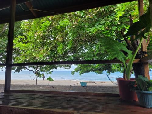 . Mananambal Beach Huts - Family hut