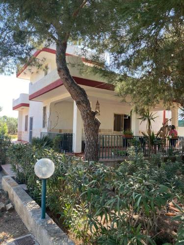 Villa Del Prete
