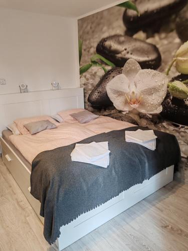 Orchidea apartman in Харкань