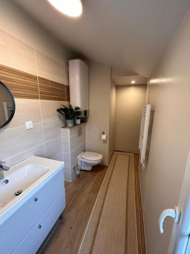 Appartement F1 duplex Hyper centre in แซงต์ ดิซิเญ