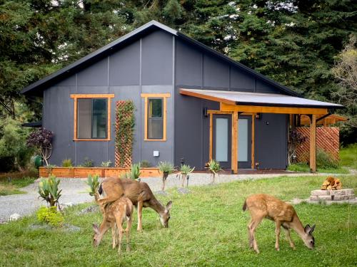A szálláshely kívülről, New, Modern, Country-feel, close to Arcata in Arcata (CA)