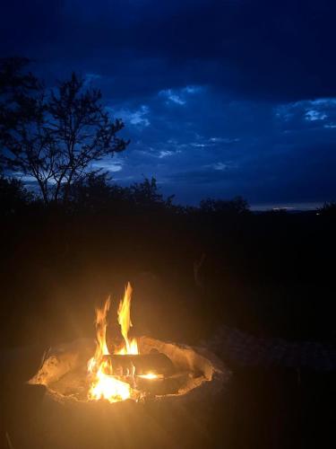 Kufihliwe Lodge in ซิกแนลฮิลล์