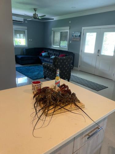 Mable's Villa in Saint Ann's Bay